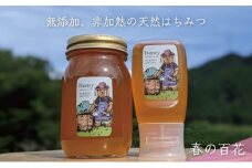 [№5308-0251]合計900g 天然蜂蜜 国産蜂蜜 非加熱 生はちみつ 岐阜県 美濃市産 春 (蜂蜜600g入りガラス瓶1本,蜂蜜300g入りピタッとボトル1本のセット)A15 深田養蜂のハチミツ