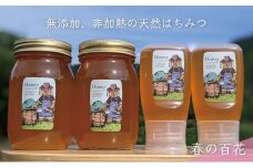 [№5308-0252]合計1800g 天然蜂蜜 国産蜂蜜 非加熱 生はちみつ 岐阜県 美濃市産 春 (蜂蜜600g入りガラス瓶2本,蜂蜜300g入りピタッとボトル2本のセット)A16 深田養蜂のハチミツ