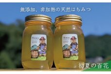 [№5308-0258]合計1200g 天然蜂蜜 国産蜂蜜 非加熱 生はちみつ 岐阜県 美濃市産 初夏 (蜂蜜600g入りガラス瓶2本セット)B6 深田養蜂のハチミツ