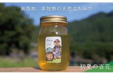 [№5308-0257]合計600g 天然蜂蜜 国産蜂蜜 非加熱 生はちみつ 岐阜県 美濃市産 初夏 (蜂蜜600g入りガラス瓶1本)B5 深田養蜂のハチミツ