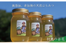 [№5308-0259]合計1800g 天然蜂蜜 国産蜂蜜 非加熱 生はちみつ 岐阜県 美濃市産 初夏 (蜂蜜600g入りガラス瓶3本セット)B7 深田養蜂のハチミツ