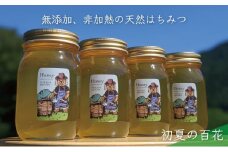 [№5308-0260]合計2400g 天然蜂蜜 国産蜂蜜 非加熱 生はちみつ 岐阜県 美濃市産 初夏 (蜂蜜600g入りガラス瓶4本)B8 深田養蜂のハチミツ