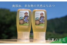 [№5308-0262]合計600g 天然蜂蜜 国産蜂蜜 非加熱 生はちみつ 岐阜県 美濃市産 初夏 (蜂蜜300g入りピタッとボトル2本セット)B10 深田養蜂のハチミツ