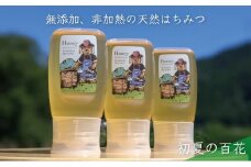 [№5308-0263]合計900g 天然蜂蜜 国産蜂蜜 非加熱 生はちみつ 岐阜県 美濃市産 初夏 (蜂蜜300g入りピタッとボトル3本セット)B11 深田養蜂のハチミツ