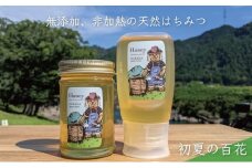 [№5308-0265]合計530g 天然蜂蜜 国産蜂蜜 非加熱 生はちみつ 岐阜県 美濃市産 初夏 (蜂蜜230g入りガラス瓶1本、蜂蜜300g入りピタッとボトル1本のセット)B13 深田養蜂のハチミツ