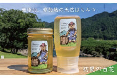 [№5308-0265]合計530g 天然蜂蜜 国産蜂蜜 非加熱 生はちみつ 岐阜県 美濃市産 初夏 (蜂蜜230g入りガラス瓶1本、蜂蜜300g入りピタッとボトル1本のセット)B13 深田養蜂のハチミツ