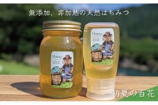 [№5308-0267]合計900g 天然蜂蜜 国産蜂蜜 非加熱 生はちみつ 岐阜県 美濃市産 初夏 (蜂蜜600g入りガラス瓶1本、蜂蜜300g入りピタッとボトル1本のセット)B15 深田養蜂のハチミツ