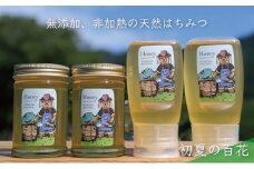 [№5308-0266]合計1060g 天然蜂蜜 国産蜂蜜 非加熱 生はちみつ 岐阜県 美濃市産 初夏 (蜂蜜230g入りガラス瓶2本、蜂蜜300g入りピタッとボトル2本のセット)B14 深田養蜂のハチミツ