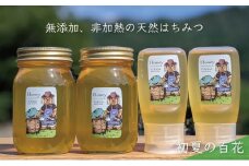[№5308-0268]合計1800g 天然蜂蜜 国産蜂蜜 非加熱 生はちみつ 岐阜県 美濃市産 初夏 (蜂蜜600g入りガラス瓶2本、蜂蜜300g入りピタッとボトル2本のセット)B16 深田養蜂のハチミツ