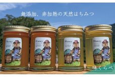 [№5308-0270]合計920g 天然蜂蜜 国産蜂蜜 非加熱 生はちみつ 岐阜県 美濃市産 味比べ 蜂蜜230ｇガラス瓶 4本セットC2 深田養蜂のハチミツ