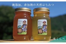 [№5308-0271]合計1200g 天然蜂蜜 国産蜂蜜 非加熱 生はちみつ 岐阜県 美濃市産 味比べ 蜂蜜600g入りガラス瓶 2本セットC3 深田養蜂のハチミツ