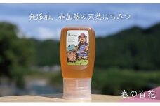 [№5308-0245]合計300g 天然蜂蜜 国産蜂蜜 非加熱 生はちみつ 岐阜県 美濃市産 春 (蜂蜜300g入りピタッとボトル1本)A9 深田養蜂のハチミツ