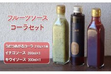 [№5308-0333]【美濃】フルーツソースとクラフトコーラのセット