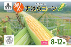 [№5308-0389]朝採り とうもろこし すはらコーン 8～12本 トウモロコシ イエロー 玉蜀黍 コーン 野菜 旬 夏野菜 甘い 朝採れ 人気 自家用 ギフト 手土産 贈答用 お取り寄せ 産地直送 産直 送料無料 マルイシすはら農園 岐阜県 美濃市