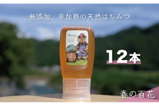 [№5308-0391]合計3600g 天然蜂蜜 国産蜂蜜 非加熱 生はちみつ 岐阜県 美濃市産 春 (蜂蜜300g入りピタッとボトル12本セット) A18 深田養蜂のハチミツ