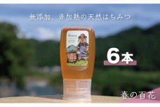 [№5308-0390]合計1800g 天然蜂蜜 国産蜂蜜 非加熱 生はちみつ 岐阜県 美濃市産 春 (蜂蜜300g入りピタッとボトル6本セット) A17 深田養蜂のハチミツ