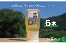 [№5308-0393]合計1800g 天然蜂蜜 国産蜂蜜 非加熱 生はちみつ 岐阜県 美濃市産 初夏 (蜂蜜300g入りピタッとボトル6本セット) B17 深田養蜂のハチミツ