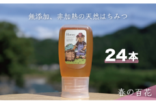 [№5308-0392]合計7200g 天然蜂蜜 国産蜂蜜 非加熱 生はちみつ 岐阜県 美濃市産 春 (蜂蜜300g入りピタッとボトル24本セット) A19 深田養蜂のハチミツ