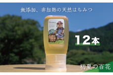 [№5308-0394]合計3600g 天然蜂蜜 国産蜂蜜 非加熱 生はちみつ 岐阜県 美濃市産 初夏 (蜂蜜300g入りピタッとボトル12本セット) B18 深田養蜂のハチミツ