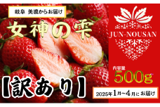 [№5308-0455]【訳あり】いちご/2025年1月から3月/250g×2パック/岐阜県美濃市産/