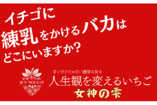 [№5308-0457]「今までで1番旨い」とグルメ家がうなったイチゴ【女神の雫】/2025年1月から3月/450g/岐阜県/美濃市/じゅん農産/2
