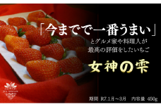 [№5308-0456]「今までで1番旨い」とグルメ家がうなったイチゴ【女神の雫】/2025年1月から3月/450g/岐阜県/美濃市/じゅん農産/1