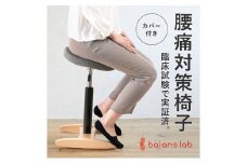 [№5308-7314]0522バランス シナジー(カバー付き) 椅子 腰痛 対策 イス カバー バランスラボ 岐阜県 美濃市　シックグレー/ラウンドシート/ネイビー