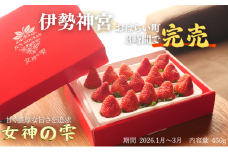 [№5308-0539]【伊勢神宮おはらい町で3時間で完売】グルメ家が「今までで1番旨い」とうなったイチゴ【女神の雫】 2026年1月 2月 3月 4月 450g 岐阜県 美濃市 じゅん農産 2 苺