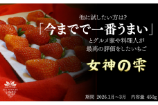 [№5308-0540]「今までで1番うまい」とうなったイチゴ【女神の雫】 2026年1月 2月 3月 4月 450g 岐阜県 美濃市 じゅん農産 1 苺