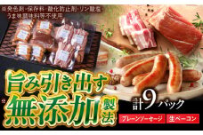 中山道ハム プレーンソーセージ 生ベーコン 計9パック 小分け 冷凍 瑞浪市 / オーガニックフーズ お取り寄せ 小分け 手作り 無塩せき 発色剤 保存料 無添加 [AZAK007]