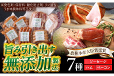 中山道ハム ソーセージ ハム ベーコン 7種 小分け 冷凍 瑞浪市 / オーガニックフーズ お取り寄せ 小分け 手作り 無塩せき 発色剤 保存料 無添加 [AZAK003]