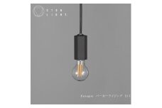 CTSH LIGHT. ペンダントライト＜HEXAGONパーカーライジング E17＞ 瑞浪市 / ジオニック 照明器具 ソケット 鉄 ブラック [AZBQ099]