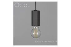 CTSH LIGHT. ペンダントライト＜HEXAGONパーカーライジング E26＞ 瑞浪市 / ジオニック 照明器具 ソケット 鉄 ブラック [AZBQ100]