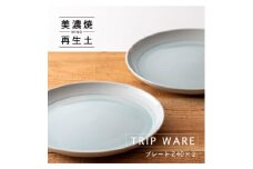 【美濃焼】 tripware プレート 240 2枚 水釉 瑞浪市 / 市原製陶 食器 皿 グッドデザイン賞受賞 [AZAE023]