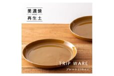 【美濃焼】 tripware プレート 210 2枚 キャラメル 瑞浪市 / 市原製陶 食器 皿 グッドデザイン賞受賞 [AZAE012]