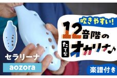 【美濃焼】 オカリナよりも吹きやすい 「aozora」 セラリーナ12音階 たて型のオカリナ 瑞浪市 / スエラボ [AZCV008]