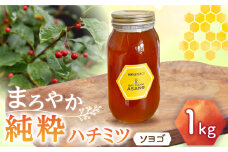 純粋ハチミツ ソヨゴ 1,000g×1 瑞浪市 / honey shop Bee farm asano 蜂蜜 はちみつ [AZBT012]