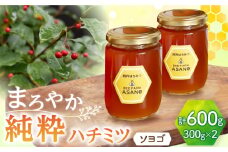 純粋ハチミツ ソヨゴ 300g×2 瑞浪市 / honey shop Bee farm asano 蜂蜜 はちみつ [AZBT010]