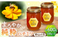 純粋ハチミツ 野山の花 300g×2 瑞浪市 / honey shop Bee farm asano 蜂蜜 はちみつ [AZBT004]