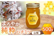 純粋ハチミツ 山桜 500g×1 瑞浪市 / honey shop Bee farm asano 蜂蜜 はちみつ [AZBT008]
