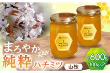 純粋ハチミツ 山桜 300g×2 瑞浪市 / honey shop Bee farm asano 蜂蜜 はちみつ [AZBT007]