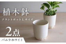 【美濃焼】 miyama. 植木鉢 プラントポットL バニラホワイト 2個 瑞浪市 / ミヤマプランニング プランター 鉢 [AZCM079]