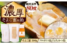 そよご蜜 × 飴 東濃地域 そよごセット 瑞浪市 / 堀養蜂園 はちみつ 蜂蜜 国産 [AZCF007]