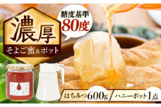 はちみつ そよご蜜 × ハニーポット (白) ビギナーズセット 瑞浪市 / 堀養蜂園 蜂蜜 国産 陶磁器 [AZCF005]