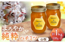 純粋ハチミツ 山桜 500g×2 瑞浪市 / honey shop Bee farm asano 蜂蜜 はちみつ [AZBT009]