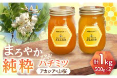 純粋ハチミツ 2種セット (アカシア500g×1 山桜500g×1) 瑞浪市 / honey shop Bee farm asano 蜂蜜 はちみつ [AZBT013]