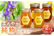 純粋ハチミツ 4種セット (アカシア 山桜 ソヨゴ 野山の花 500g×各1) 瑞浪市 / honey shop Bee farm asano 蜂蜜 はちみつ [AZBT016]