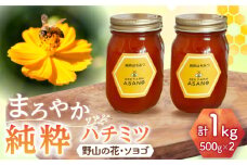 純粋ハチミツ 2種セット (野山の花500g×1 ソヨゴ500g×1) 瑞浪市 / honey shop Bee farm asano 蜂蜜 はちみつ [AZBT014]