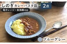 【美濃焼/みずなみ焼】 シックな 北欧風食器 しのぎカレーパスタ皿 2枚セット ブルーグレー 瑞浪市 / 山喜製陶 プレート カレー皿 食器 [AZCP002]