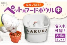 【美濃焼】 名入れ 陶器製ペット用フードボウル 早食い防止 スタンプ 高台 中 pet119 瑞浪市 / ながしまプランニングオフィス エサ入れ 餌皿 犬 猫 [AZBM142]